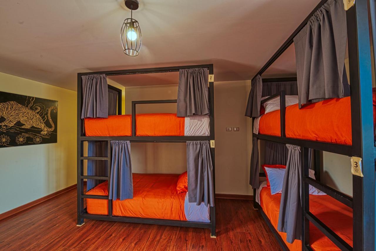 Bunk Bed in Male Dormitory Room